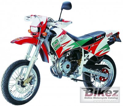 2005 rieju 50 spike racing castrol pro photo